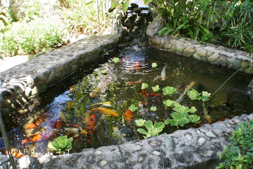 Enchanted Waters Tobago Buccoo Bagian luar foto